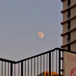 Z〇ZOZ○女人Z〇Zo
