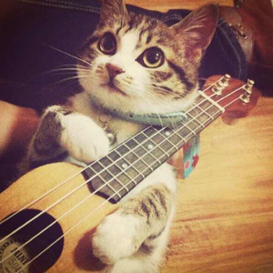 Z〇ZOZ○女人Z〇Zo
